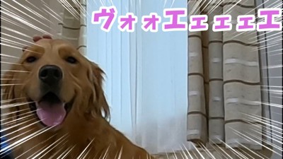 嫉妬するよもぎちゃん⑩