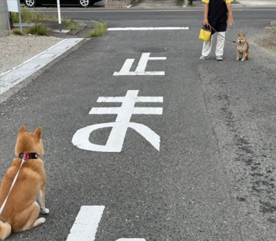 バトル