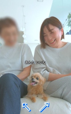 祖父母がお家に来た時のあのちゃん8