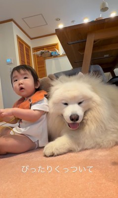 はくちゃんと赤ちゃん9