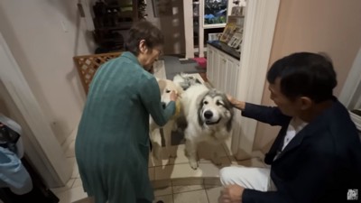 お出迎えするベルちゃんとリリーちゃん