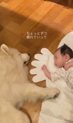 はくちゃんと赤ちゃん5
