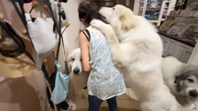 パワフルなリリーちゃん