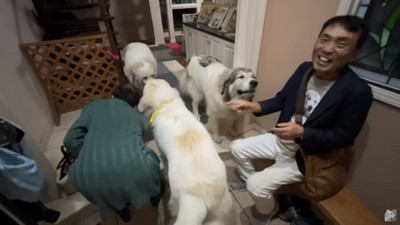 苦笑いするお父さん