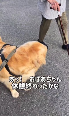 「大丈夫そ？」