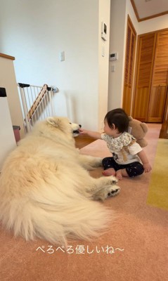 はくちゃんと赤ちゃん7