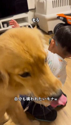 男の子から離れる犬