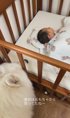 はくちゃんと赤ちゃん2