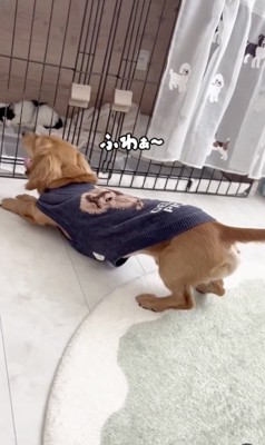 眠くたって見守りたい