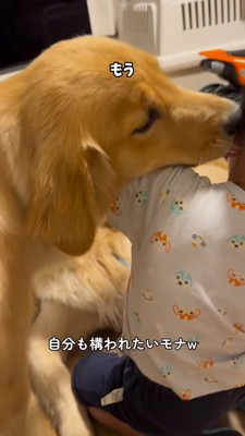 男の子の耳を舐める犬
