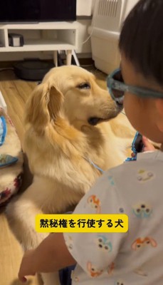 男の子から目を離してサングラスを咥える犬