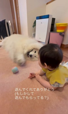 はくちゃんと赤ちゃん6