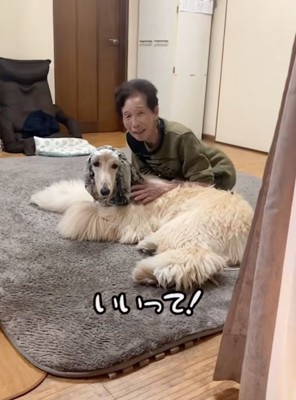 「いいって」