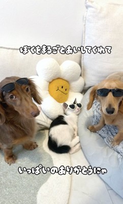 末永くお幸せにね