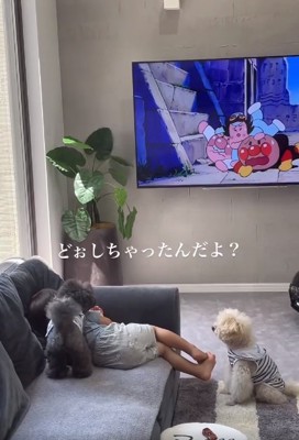 心配そうな2匹