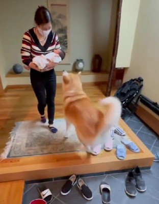 「挨拶させて！」