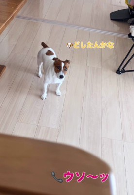 「うそ～」