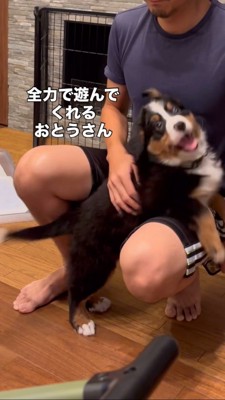 お父さんと遊ぶ犬