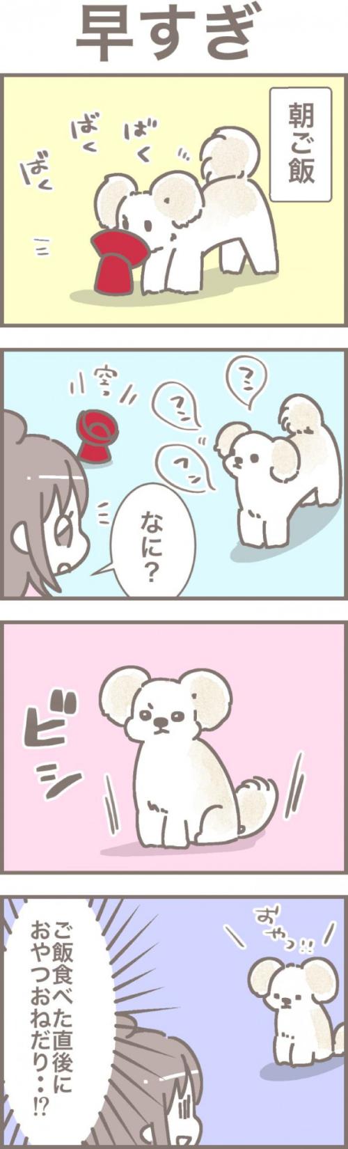 うちの王様にはどうしても抗えない【第319話】