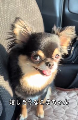 こまちゃんとおばあちゃん3