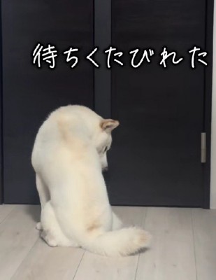 ガックリと肩を落とした