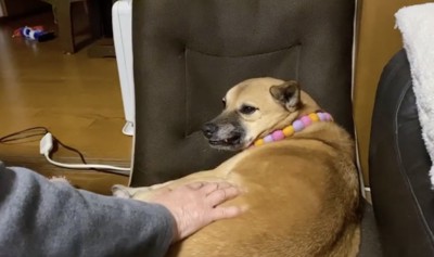 お母さんだと大丈夫