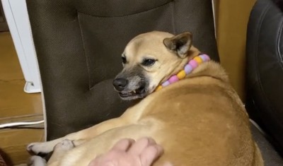 伝われ、お父さんの愛情