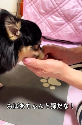 こまちゃんとおばあちゃん8