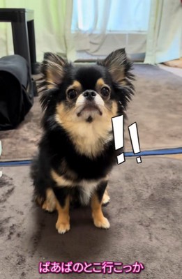 こまちゃんとおばあちゃん