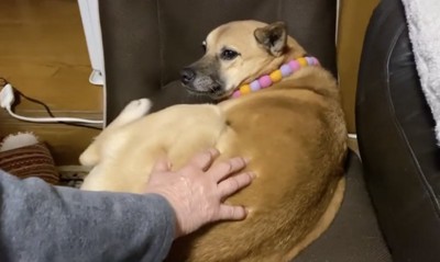 優しい表情からの…