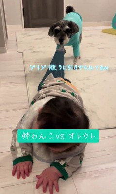 キッチンは危険がいっぱいだから…