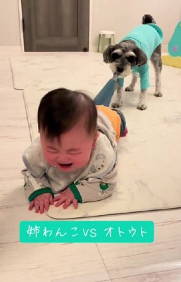 安全のために容赦しません♪