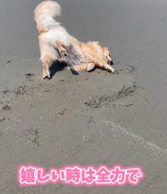 感情表現豊か！！
