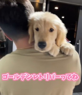 パピー期は圧倒的可愛さ！