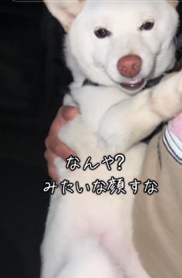 パパ大好きなロッティちゃんでした!