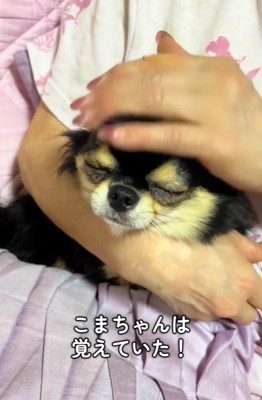 こまちゃんとおばあちゃん4