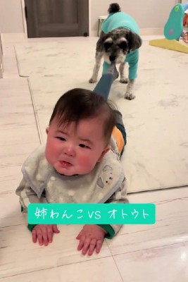 ジリジリ引いて侵入を阻止