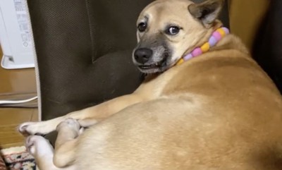 手の動きはきっちり観察