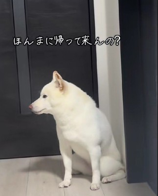 場所を変えて…