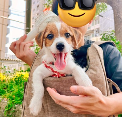 可愛すぎる