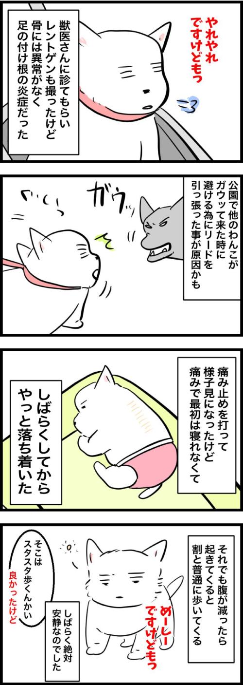 ちーちゃんですけどもっ【第324話】2