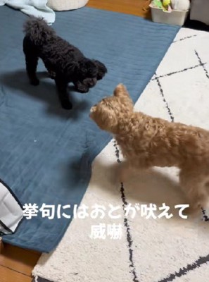 なかなか距離が縮まらない