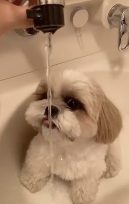洗面台