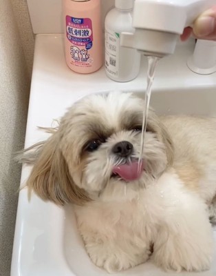 洗面台
