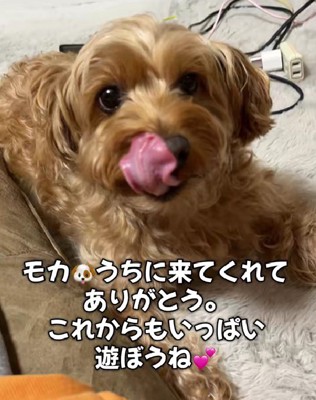 「出会ってくれてありがとう」