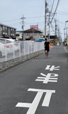 「いまそっちいく!」