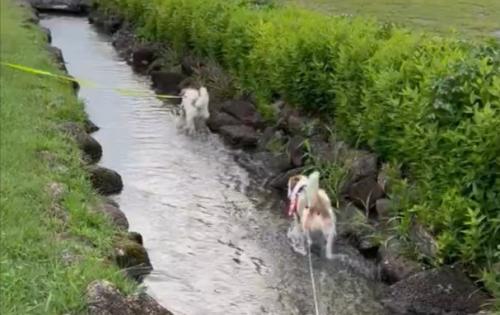 水遊び