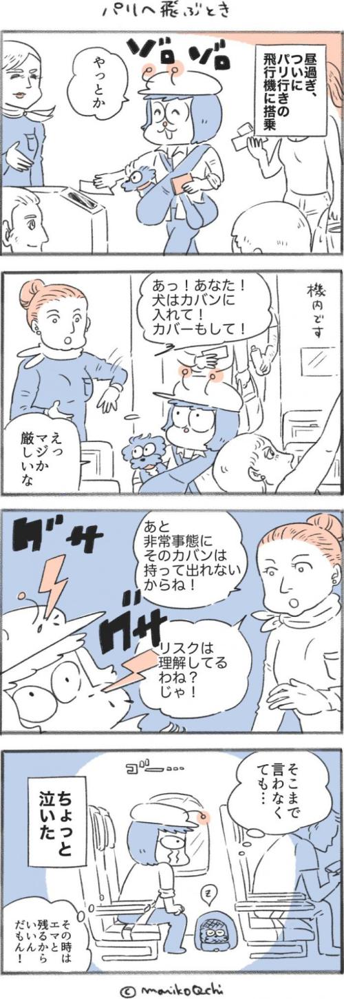 犬と暮らせば【第505話】