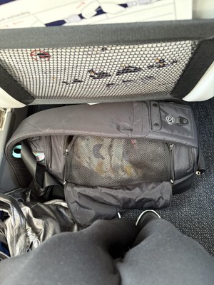 ネット状の蓋をすればOK