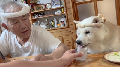 居酒屋飯